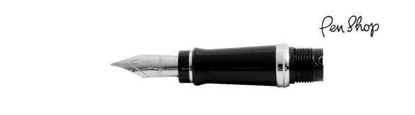 Waterman Expert Penpunten Penpunten